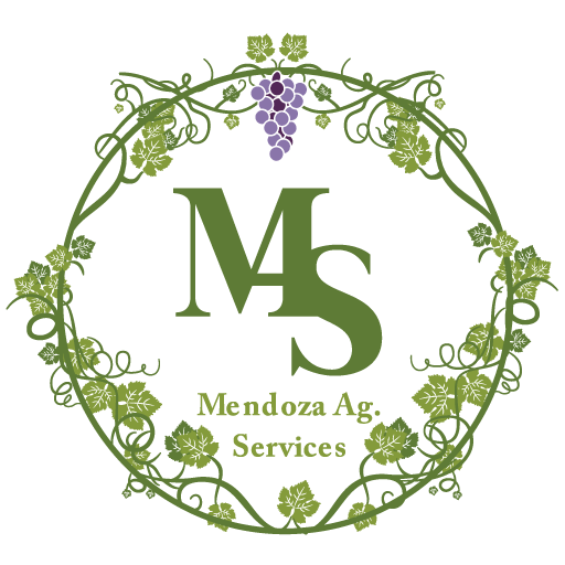 Mendoza Ag Services, Inc.